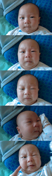 hospital3.gif