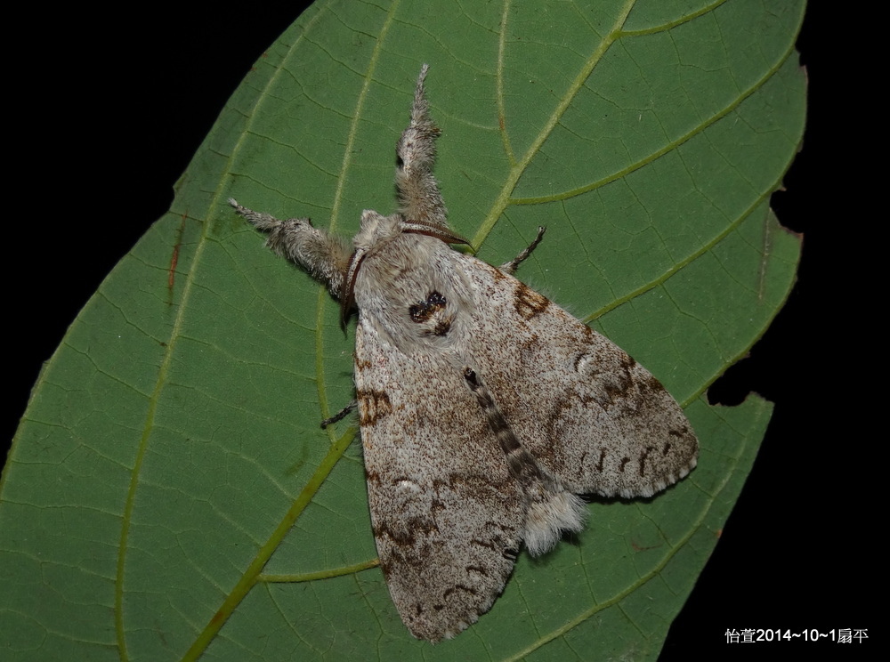 1-194-274-088-DSC05170