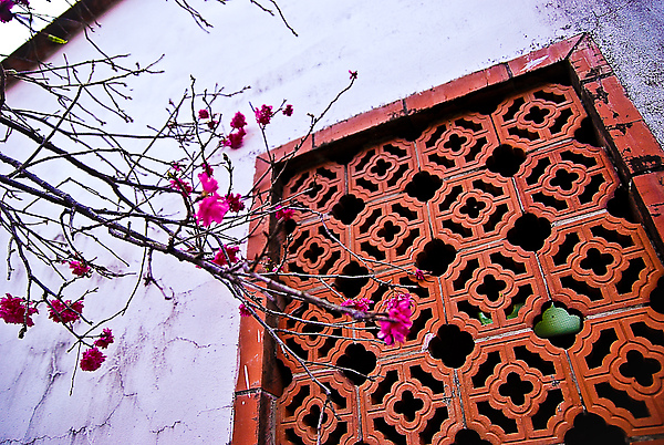 DSC_15642.jpg DSC_15642.jpg