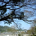 20080303后豐鐵馬道 051.jpg