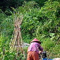 20080425平溪鐵道行樂 199.jpg