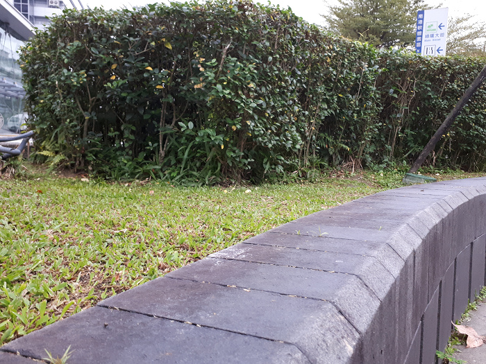 nEO_IMG_20170112_075907.jpg nEO_IMG_20170112_075907.jpg