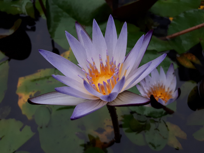 nEO_IMG_20170112_080447.jpg nEO_IMG_20170112_080447.jpg