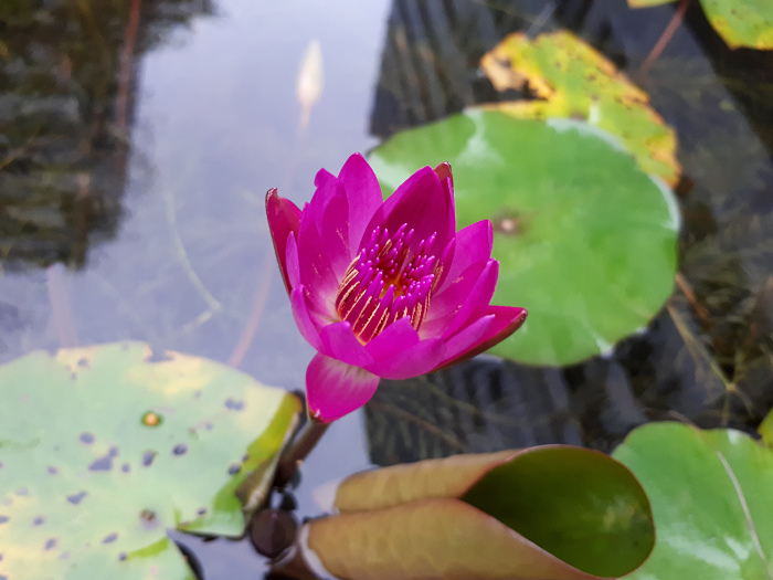 nEO_IMG_20170112_080401.jpg nEO_IMG_20170112_080401.jpg