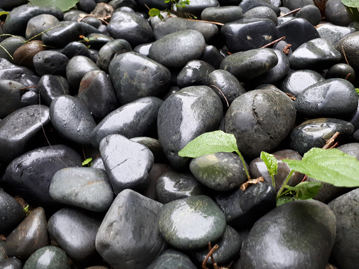 nEO_IMG_20170112_080945.jpg nEO_IMG_20170112_080945.jpg