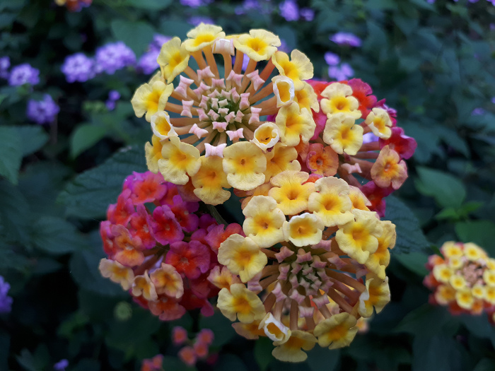 nEO_IMG_20170112_081521.jpg nEO_IMG_20170112_081521.jpg