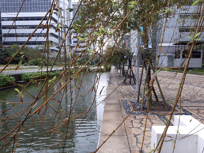 nEO_IMG_20170112_081923.jpg nEO_IMG_20170112_081923.jpg