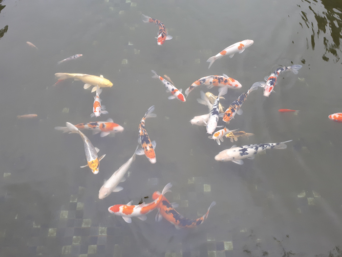 nEO_IMG_20170112_081858.jpg nEO_IMG_20170112_081858.jpg