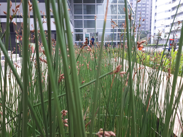 nEO_IMG_20170112_082033.jpg nEO_IMG_20170112_082033.jpg