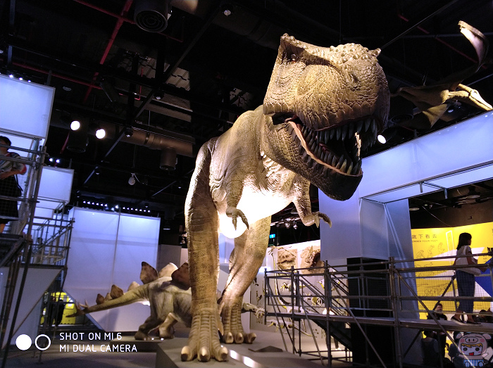 nEO_IMG_IMG_20170630_154802.jpg nEO_IMG_IMG_20170630_154802.jpg