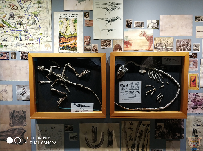 nEO_IMG_IMG_20170630_153817.jpg nEO_IMG_IMG_20170630_153817.jpg