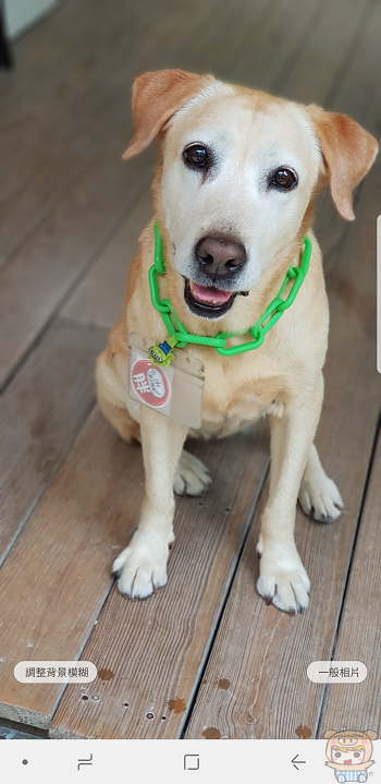 6.3 吋無邊際螢幕、雙鏡頭+ 雙 OIS 防手震​，三星 Galaxy Note 8 開箱評測