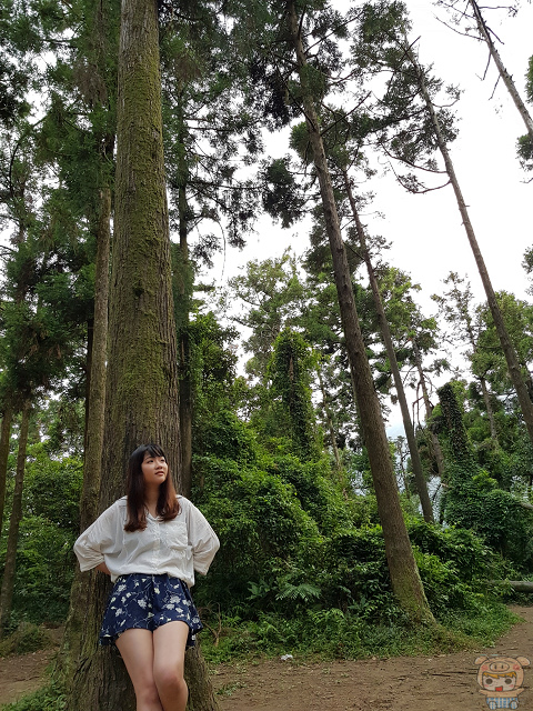 6.3 吋無邊際螢幕、雙鏡頭+ 雙 OIS 防手震​，三星 Galaxy Note 8 開箱評測