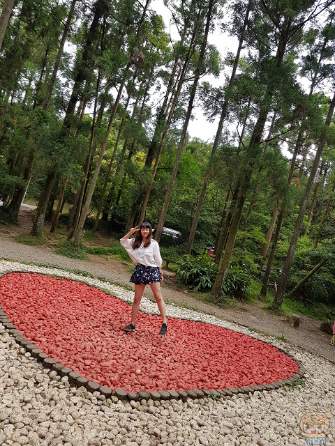 6.3 吋無邊際螢幕、雙鏡頭+ 雙 OIS 防手震​，三星 Galaxy Note 8 開箱評測