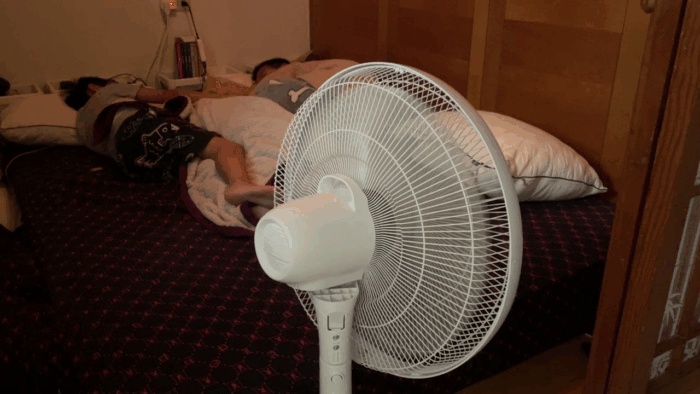 擺頭.gif 擺頭.gif