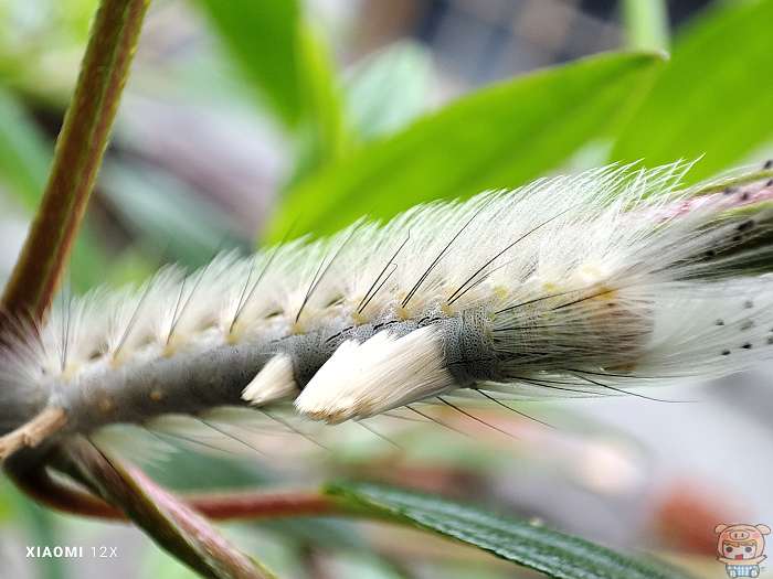 nEO_IMG_(15) IMG_20220324_153727.jpg