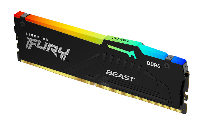 nEO_IMG_Press Photo_Kingston FURY Beast DDR5 RGB 01.jpg