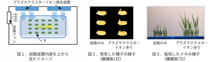 夏普 SHARP 獨創 PCI 自動除菌離子技術，有效縮短栽