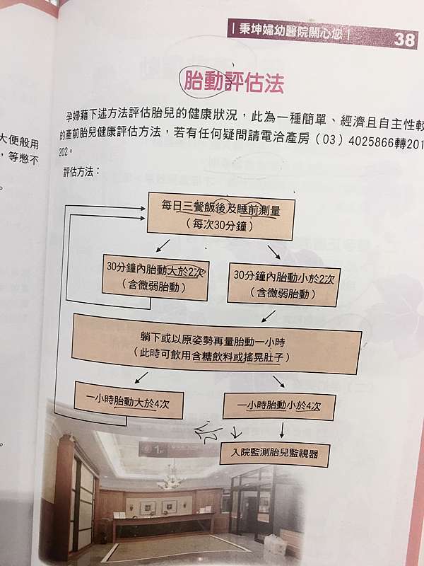 分享 生活 懷孕日記 28 37週 寶寶沒胎動 乙鏈篩檢 足月卸貨倒數 仙人掌不怕刺 Cheryl 痞客邦