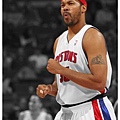 march20_sheed.jpg