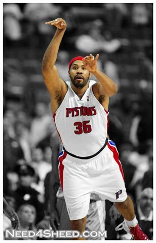 march26_sheed.jpg