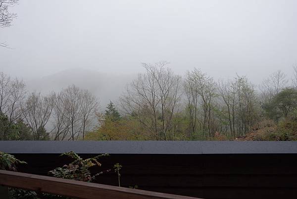 DSC02509.JPG DSC02509.JPG