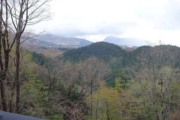 DSC02550.JPG DSC02550.JPG