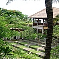 Maya 景觀