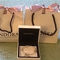 pandora bag