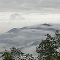 阿里山的雲海似國畫2.JPG