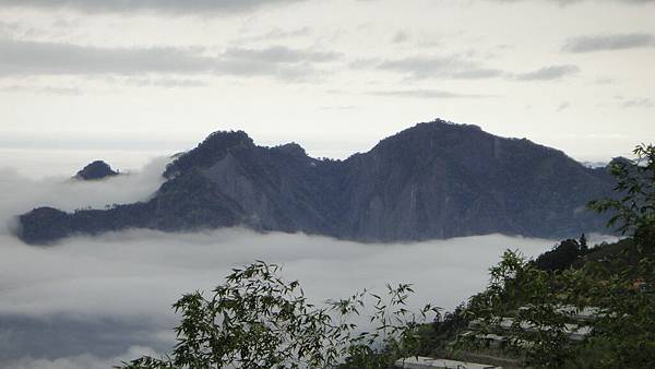 阿里山的雲海似國畫3.JPG