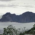 阿里山的雲海似國畫3.JPG