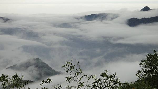 阿里山雲海.JPG