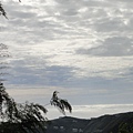 雨後天空 登山口前4.JPG