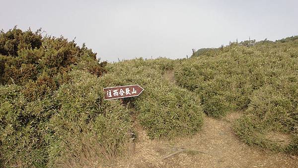 由此處開始前進西峰.JPG