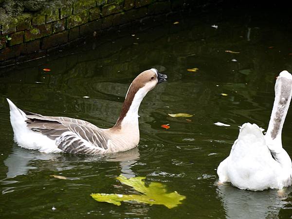 P1060521.JPG P1060521.JPG