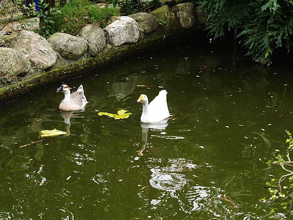 P1060520.JPG P1060520.JPG