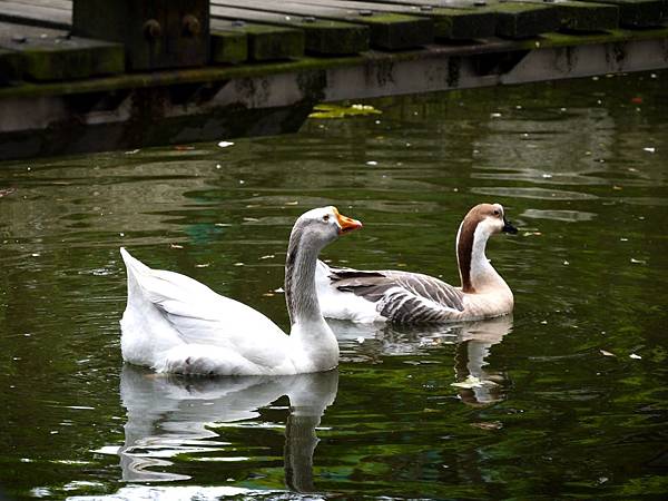 P1060528.JPG P1060528.JPG