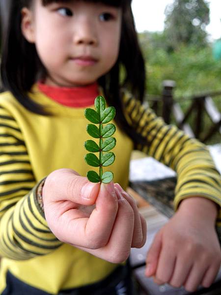 P1060537.JPG P1060537.JPG