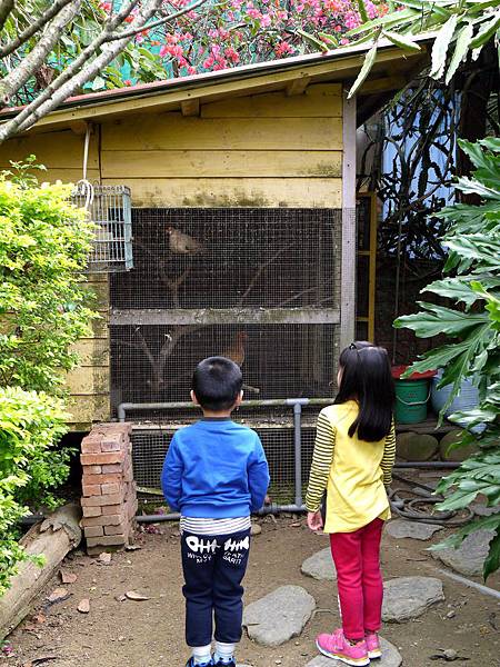 P1060529.JPG P1060529.JPG