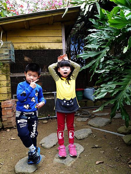 P1060533.JPG P1060533.JPG