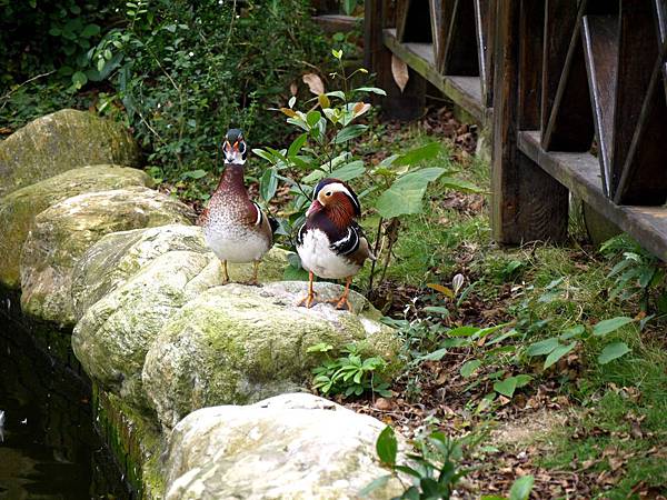 P1060546.JPG P1060546.JPG