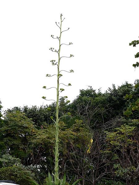 P1060550.JPG P1060550.JPG