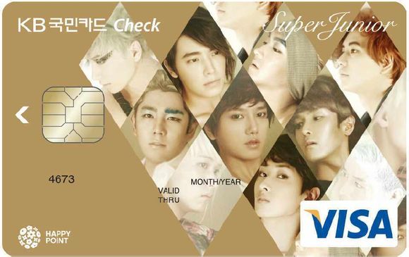 visa_sj_card