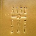 haru&oneday_pass_03