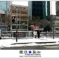 liuchiang20170125_07.jpg