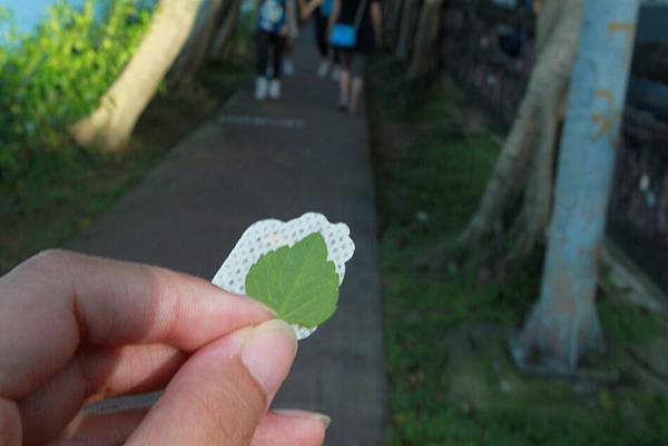 101,06,17【台北內湖】碧湖公園｜親福會我愛阿嬤101-06月聚077