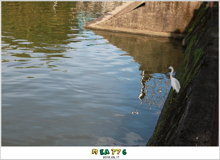 【HAVEFUN】碧湖公園｜台北內湖 - 親福會我愛阿嬤101-06月聚20