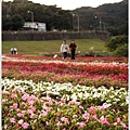 2013,01,19【大溝溪親水公園】台北內湖旅遊玩樂景點｜捷運大湖站旁登山步道新發現，巷弄祕密踏青遛狗景點016