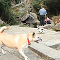 2013,02,14,4 【FM】大年初五｜內湖大溝溪親水公園親山步道圓覺瀑布 (能,玲,宇,柔,龍)162